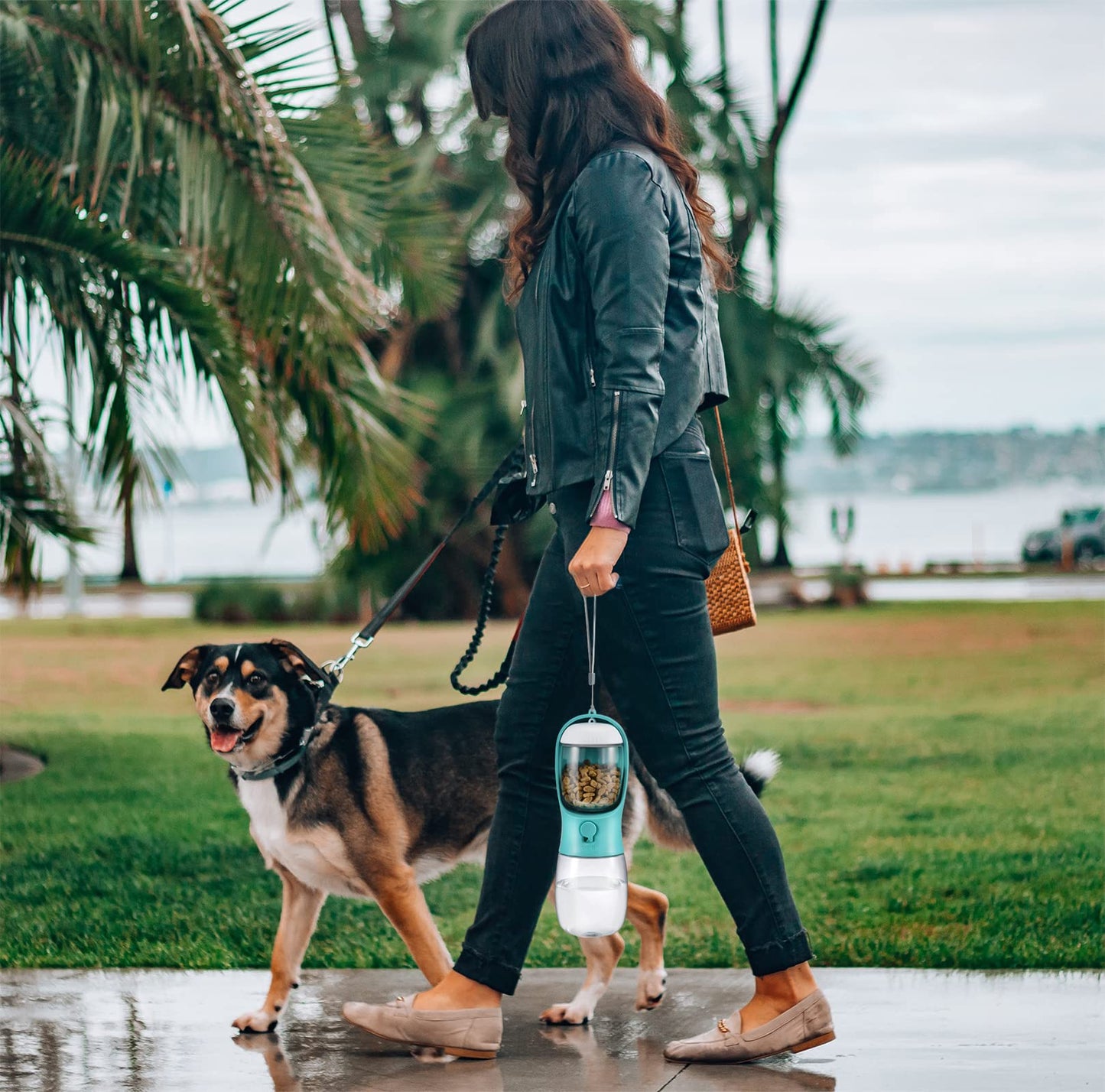 Woman walking a dog on a leash with a water bottle holder in a park-like setting.