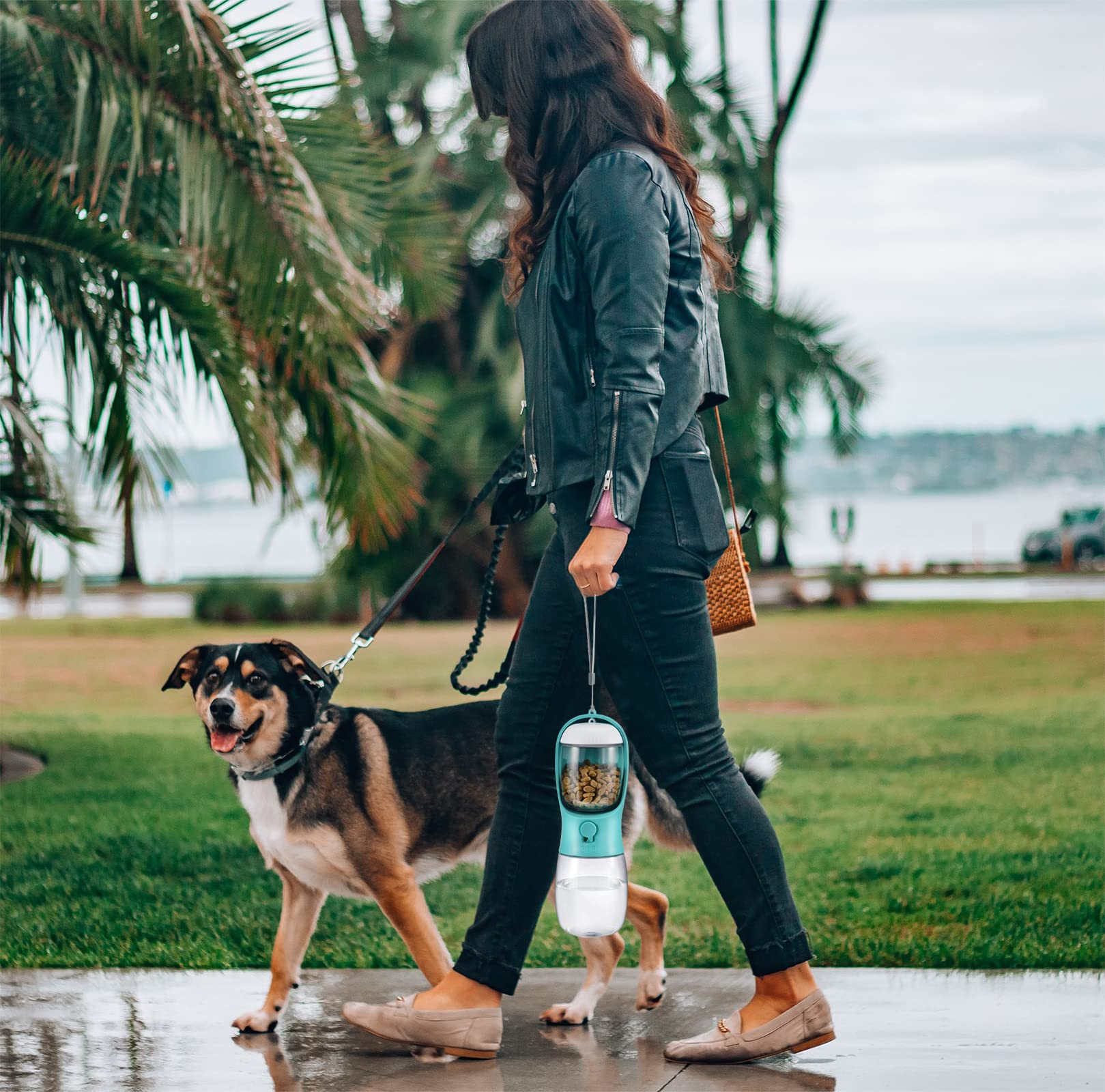 Woman walking a dog on a leash with a water bottle holder in a park-like setting.